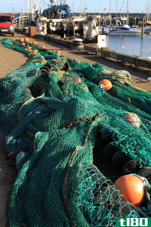 Drift nets may be used in commercial fishing to catch large amounts of fish.