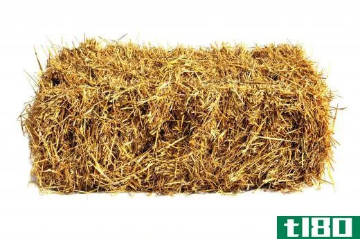 Feeding hay prior to grain is one way to reduce the risk of colic in horses.