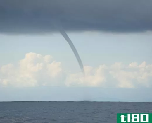Waterspouts may lift fish up into the air and carry them for some distance before dropping them from the sky.