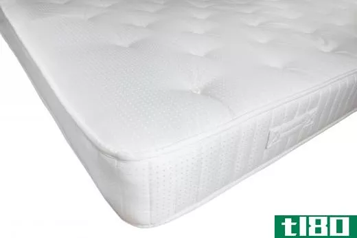 Bedbugs can live on unsanitary mattresses.