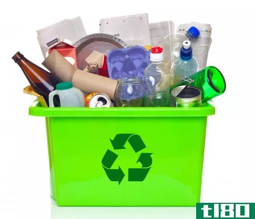 People can reduce their environmental impact by recycling items such as paper, plastic bottles, and tin cans.