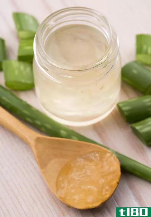 Aloe may be included as an ingredient in paw balm.
