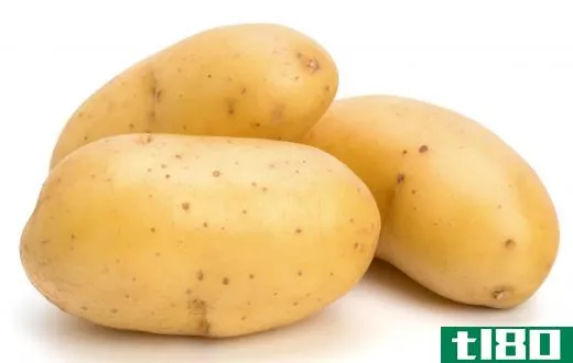 Potatoes are monocots, a type of angiosperm.