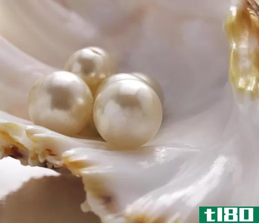 The shiny substance extruded by mollusks to create pearls is known as nacre.