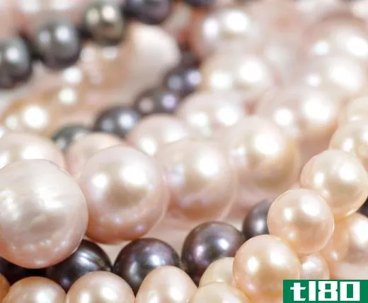 Pearls form from mollusks, including oysters.