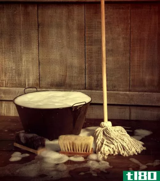 Non-food items like wet mops can hold particles of decaying material that may harbor fruit flies.