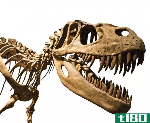 Dinosaurs appeared about 230 million years ago, and roamed the earth for 160 million years until extinction.