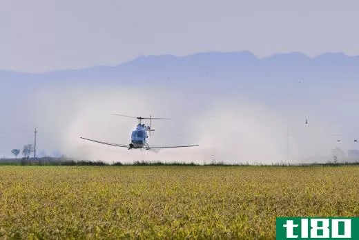 Traditional commercial pesticides can have a lingering toxic effect not only on humans but also on the environment.