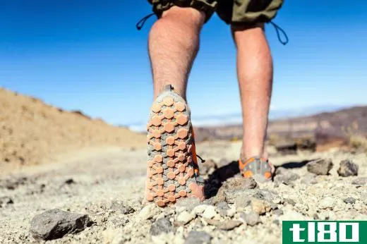 Hikers may be prone to bites from venomous snakes from stepping on one that's camouflaged.