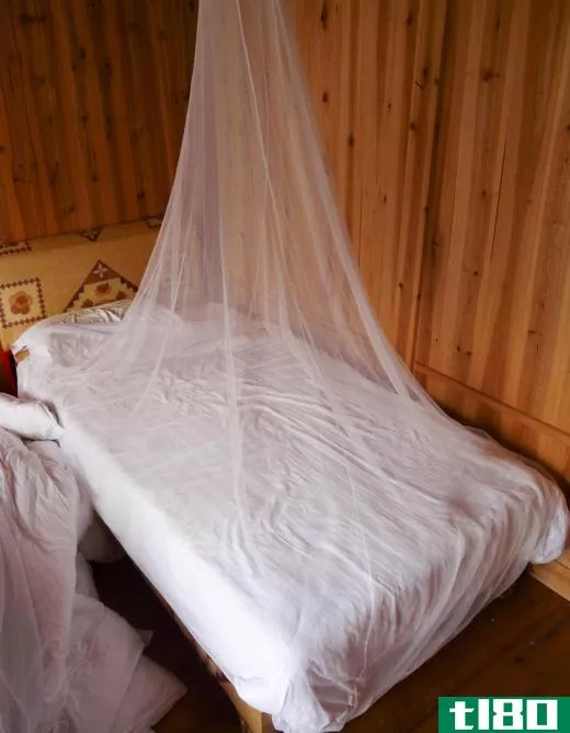 An insect net can help keep sand flies out while sleeping.