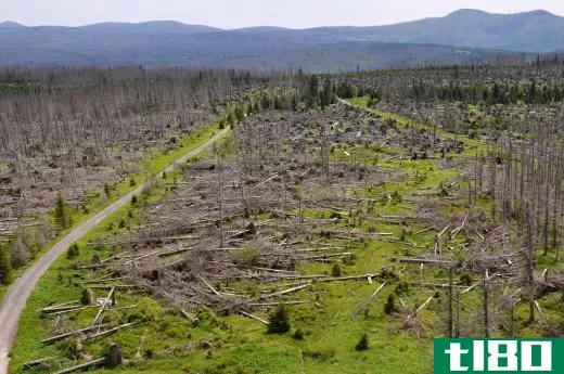 Deforestation can cause erosion.