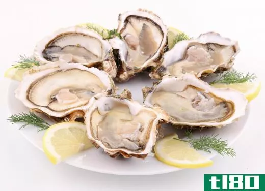 A plate of oysters on the half shell.