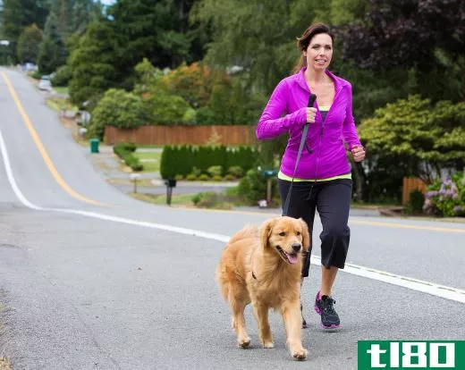 It's good for aging pets to continue daily exercise routines.