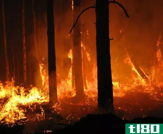 Fire lines are commonly used against wildland fires.