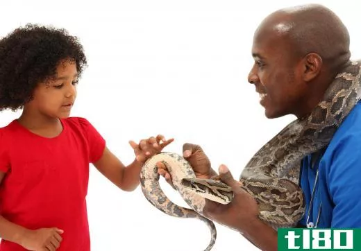 Some types of snakes are kept as pets.