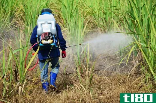 Manufacturing herbicides and pesticides pollutes the air.