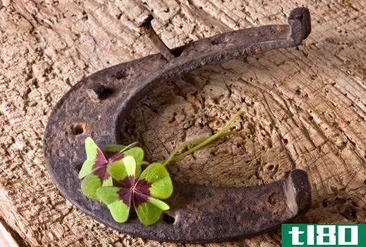 Both horseshoes and four-leaf clovers are considered good luck charms.