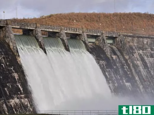 Most dams have fish ladders, and some have turned them into wildlife viewing areas for people.