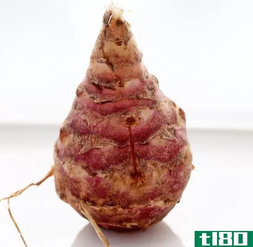 Some believe that Jerusalem crickets may have been named because they ate Jerusalem artichokes.