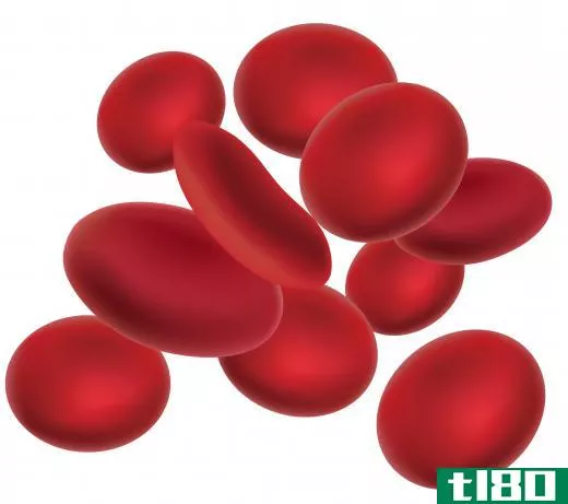 Boomslang venom destroys red blood cells.