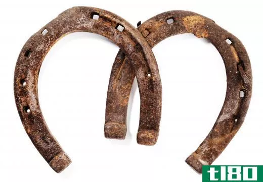 Iron and titanium are the most common metals used to make a horseshoe.