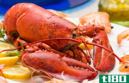 Lobster was considered a poor man's food until well into the 19th century.