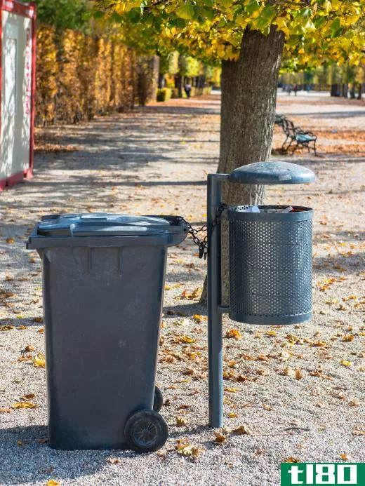 Coyotes will eat garbage, and often rely on trash cans for nutrition.