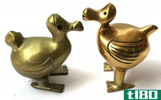 Brass sculptures of two dodo birds.