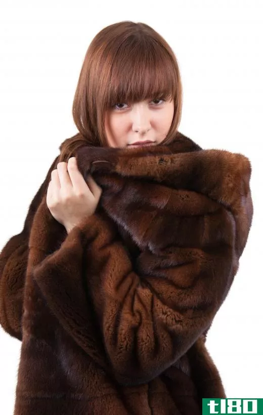 Some minks are bred specifically to produce the fur used in coats.