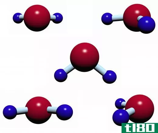 Water molecules are used by chlorophyll during photosynthesis.