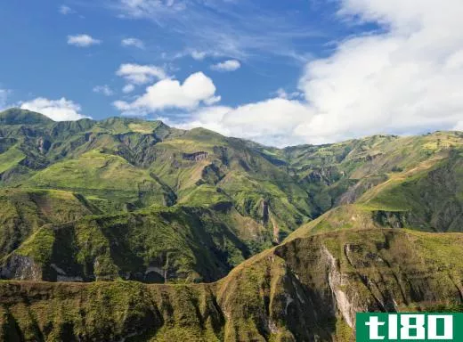 Alpacas live in the parts of the Andes.