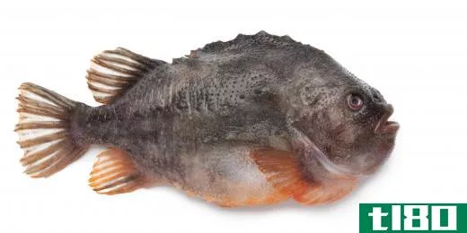 Lumpfish, like Atlantic herring, is a type of fish typically found in the North Atlantic Ocean.
