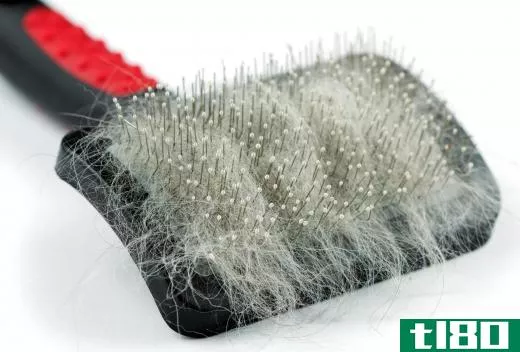 A slicker brush is a grooming tool used to help remove mats and dead hair from domesticated animals.