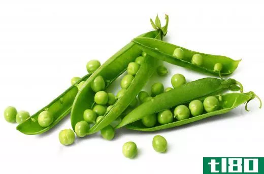 Gregor Mendel experimented with pea plants to create hybrids with specific qualities.