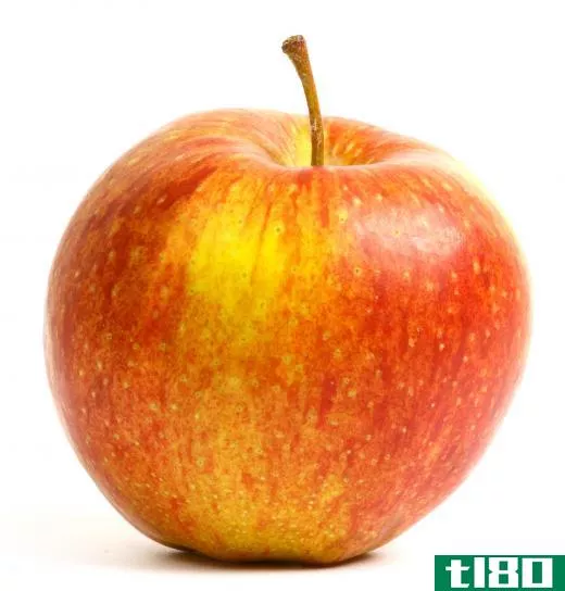 A healthy apple. Bitter pit causes apples to become deeply pitted.