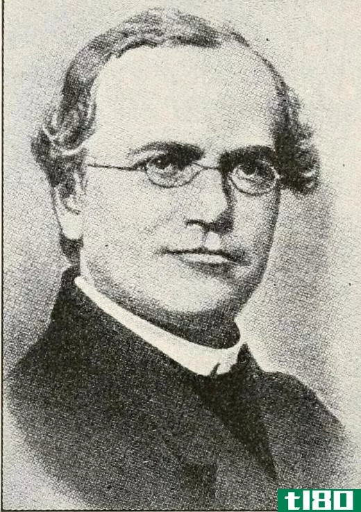 Gregor Mendel is known as the father of genetics for his work studying inherited traits.