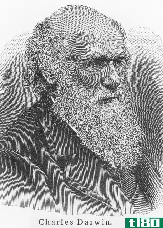 Darwin dove further into the study of endemic species when he observed the differing species of finches living on the Galápagos Islands.