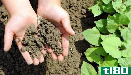 Biomonitoring looks at which chemicals from soil make their way into human bodies.
