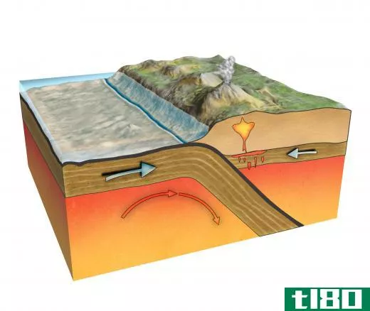 Subduction zones create ocean trenches when one tectonic plate moves beneath another.