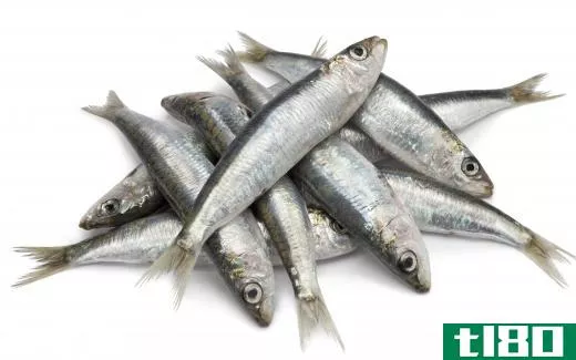 Sardines, also call pilchards, are a type of small fish in the herring family.