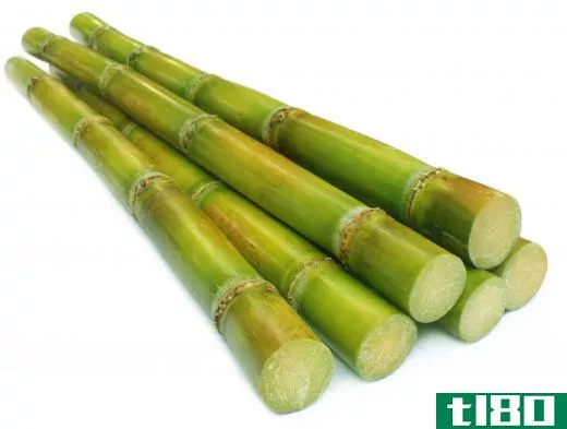 Sugar cane biomass is used to make ethanol.