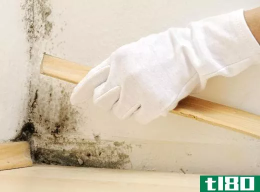 Black mold may begin as mildew and then worsen if it's not properly removed.
