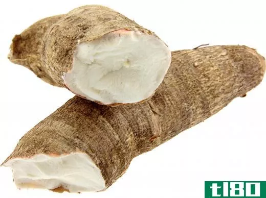 Cassava is sometimes mistaken as a true tuber, but it is a root tuber.