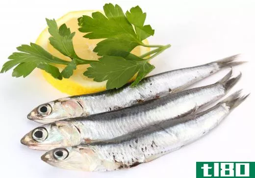 Anchovies are small, oily fish.