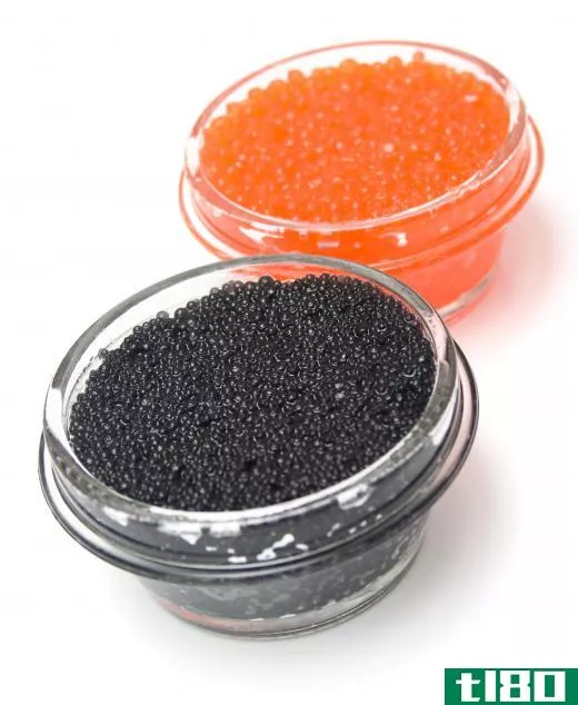 Sturgeon eggs are used for caviar.