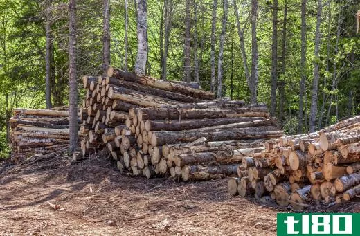Most lignin used in manufacturing is extracted from timber.