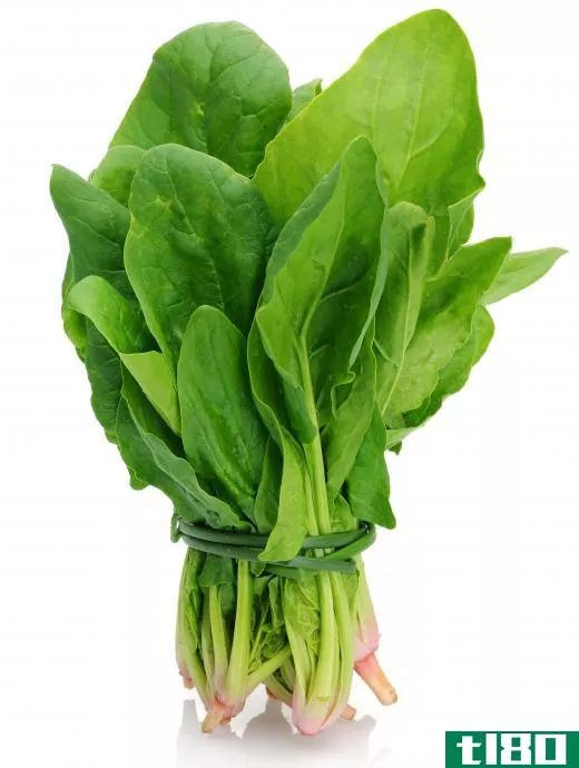 Spinach has a taste that is similar to that of hibiscus sabdariffa leaves.