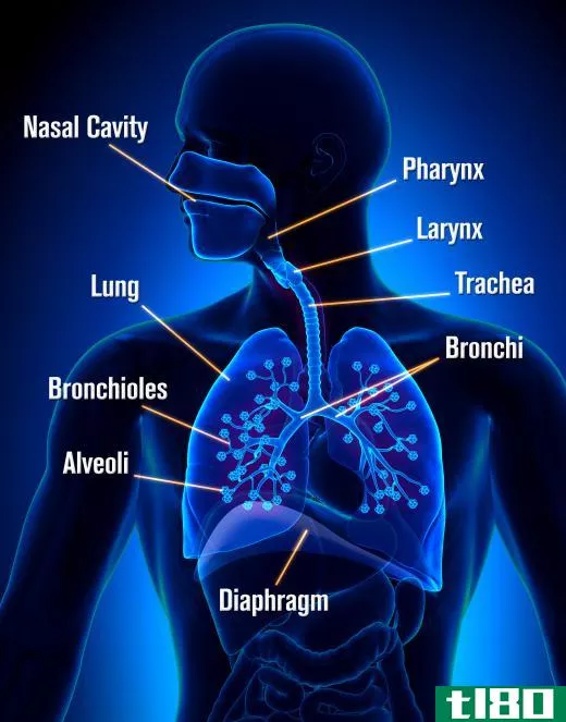 Smog can cause damage to human respiratory tracts.