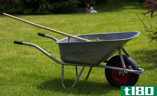 Water left in a wheelbarrow can be a breeding ground for mosquitoes.