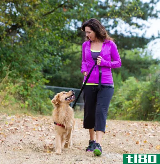 Some dogs take preventative heartworm medication on a year-round basis.